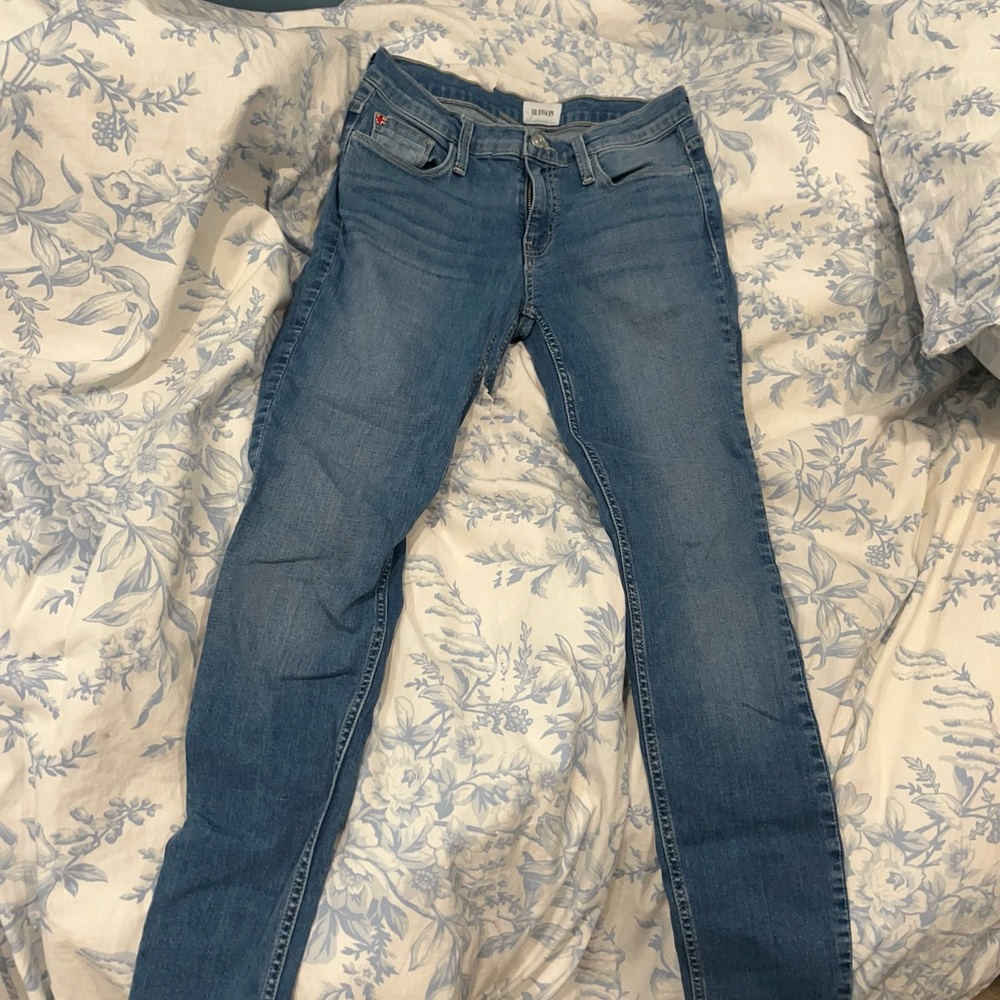 Hudson Jeans Blue Skinny Jeans